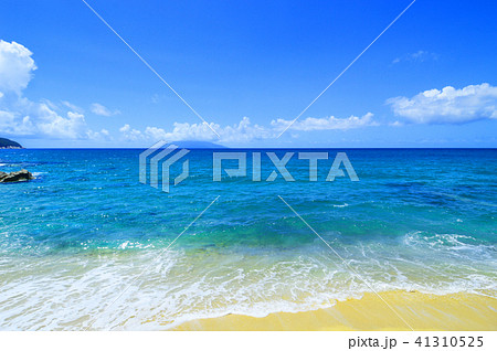 屋久島 永田いなか浜 屋久島 永田いなか浜 41310525