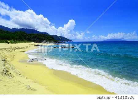 屋久島　永田いなか浜 41310526