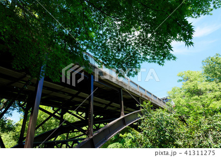 新猿橋と緑 41311275