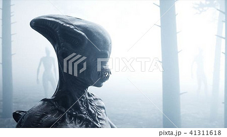 scary monster in fog night forest. Fear and horror. Mistic and ufo concept. 3d rendering. 41311618