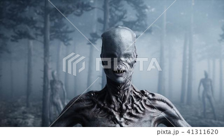 scary monster in fog night forest. Fear and horror. Mistic and ufo concept. 3d rendering. 41311620