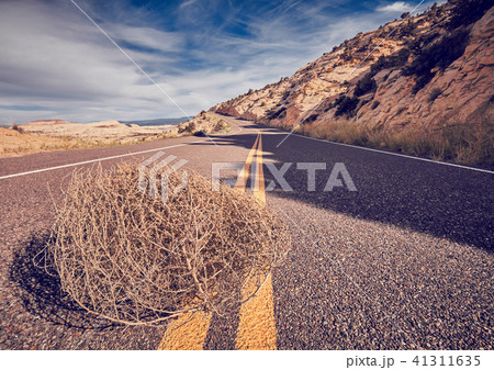 Tumbleweed on a road. Tumbleweed on a road. 41311635