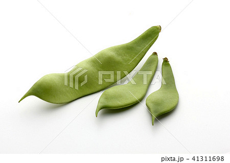 モロッコインゲン　インゲン 41311698