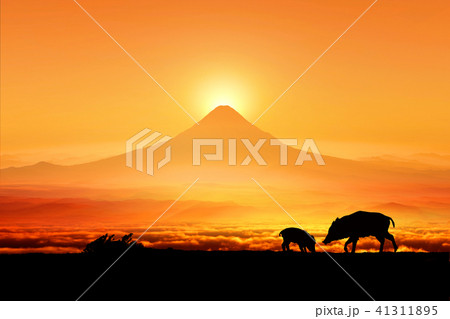 富士山の日の出とイノシシのシルエット 41311895