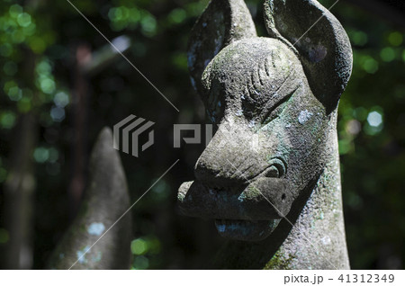 狐の狛犬 狐の狛犬 41312349