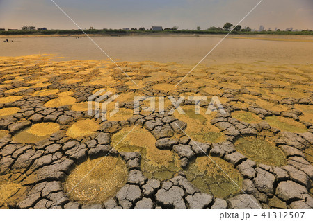 desert with wet place on it, Tai Sang Wai desert with wet place on it, Tai Sang Wai 41312507