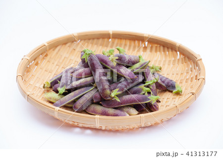 ツタンカーメンのエンドウ豆 ツタンカーメンのエンドウ豆 41313177