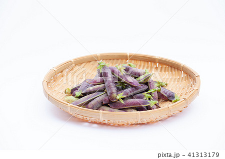 ツタンカーメンのエンドウ豆 41313179