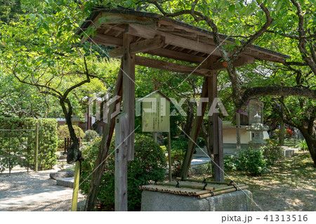 太宰府天満宮　如水の井戸 41313516