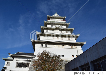 豊田城 常総市地域交流センター 豊田城 常総市地域交流センター 41313733