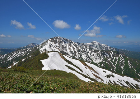 兎岳から見た残雪の越後三山 兎岳から見た残雪の越後三山 41313958