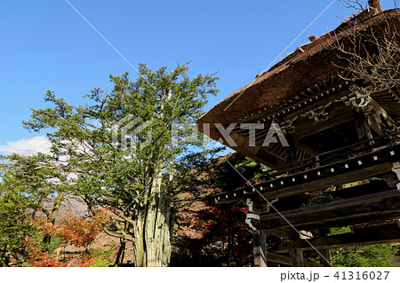 白川郷 紅葉 白川郷 紅葉 41316027