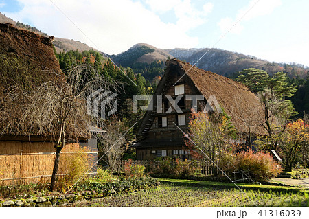 白川郷　紅葉 41316039