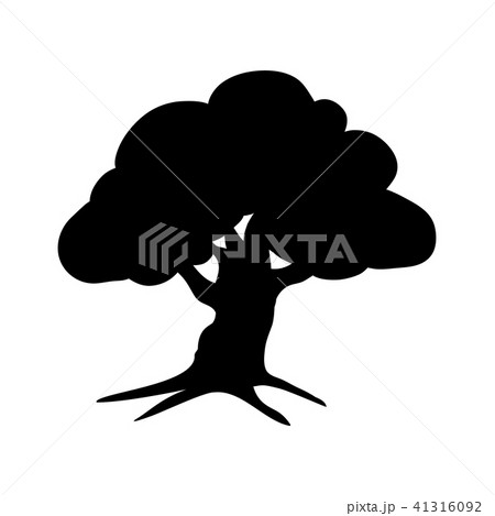 Silhouette oak icon tree flora 41316092