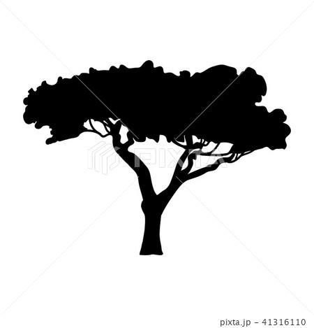 Silhouette Acacia Icon Tree Floraのイラスト素材