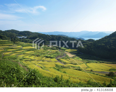 棚田百選　長崎県　土谷棚田 41316608