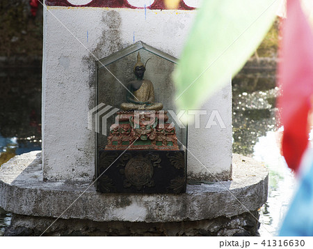 中国　雲南省　三朶節 41316630