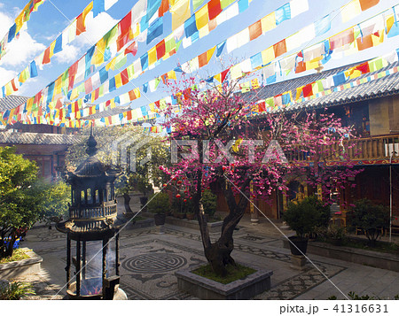 中国 雲南省 三朶節 中国 雲南省 三朶節 41316631