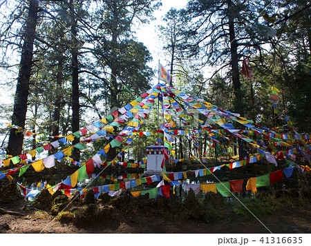 中国 雲南省 三朶節 中国 雲南省 三朶節 41316635