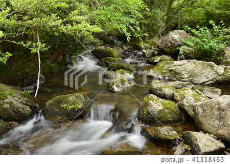 【京都府　南丹市】瑠璃渓の清流 41318463