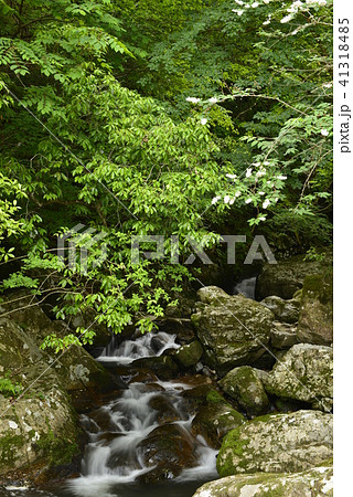 【京都府　南丹市】瑠璃渓の清流 41318485
