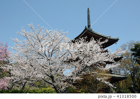 宝積寺　三重塔 41318500