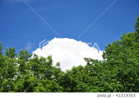 初夏の高原 高原の涌き雲 青空と積乱雲 白い涌き雲 モクモク涌き雲 夏空の白い雲 夏の高原風景 初夏の高原 高原の涌き雲 青空と積乱雲 白い涌き雲 モクモク涌き雲 夏空の白い雲 夏の高原風景 41319303