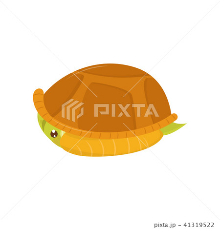 Scared Green Turtle Hiding In Its Shell のイラスト素材