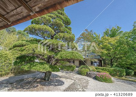 有楽苑7963 有楽苑7963 41320689