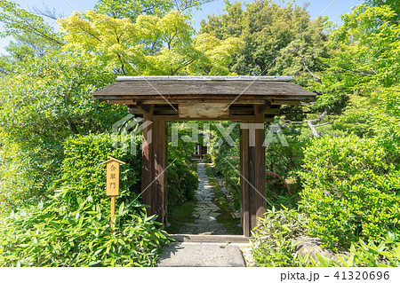 有楽苑7984 41320696