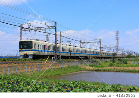 伊勢原の水田地帯を走る小田急8000形 41320955