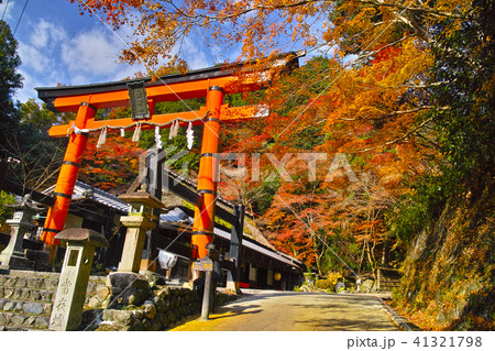 京都 嵯峨鳥居本の紅葉シーズンの風景 京都 嵯峨鳥居本の紅葉シーズンの風景 41321798