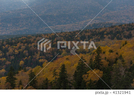 三国峠　北海道　紅葉 41321941
