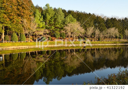 池のある公園 池のある公園 41322192