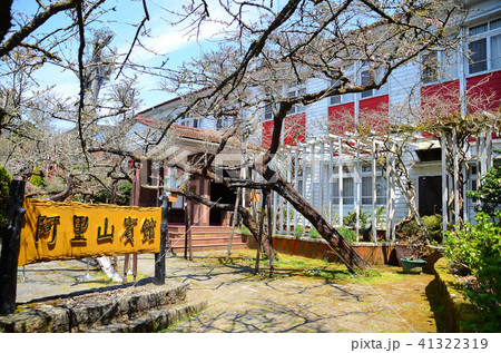 阿里山 嘉義 台湾 41322319