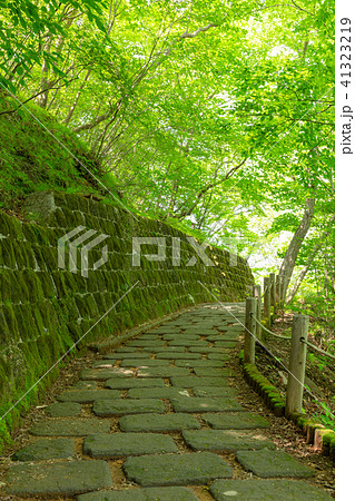 栃木県日光市 霧降ノ滝への遊歩道(5月) 栃木県日光市 霧降ノ滝への遊歩道(5月) 41323219