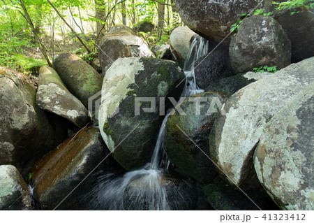 栃木県鹿沼市　五段の滝（5月） 41323412