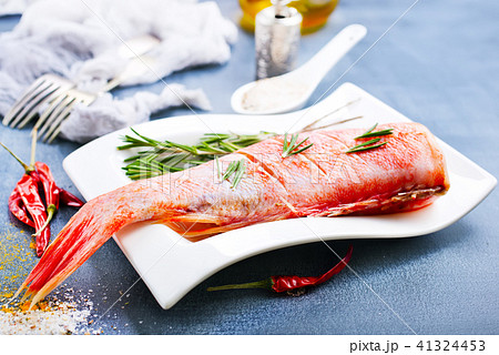 fish fish 41324453