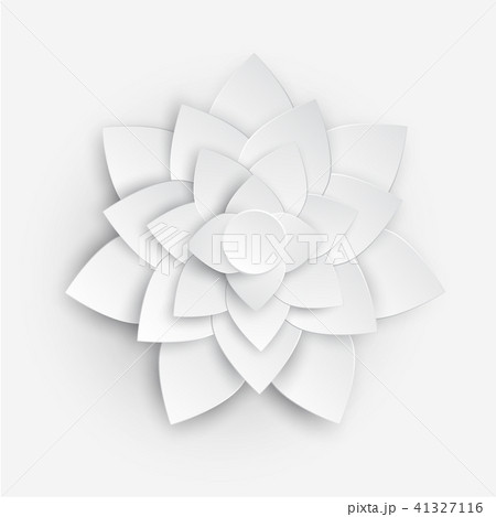 Paper Flower 3d Flower Paper Flowerのイラスト素材 41327116 Pixta