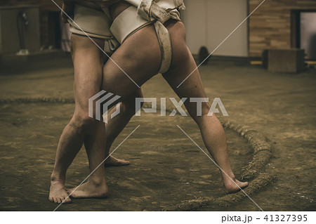 Sumo wrestling 41327395