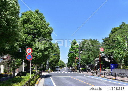 世田谷ユリの木通りの風景 41328813