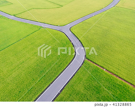 水田 米 稲 41328865