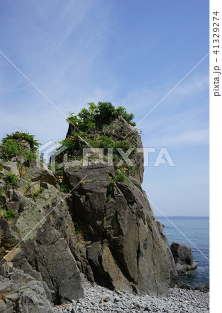 三陸ジオパーク久慈の海岸 41329274