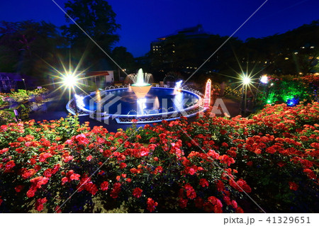 花巻温泉 バラ園のライトアップの写真素材