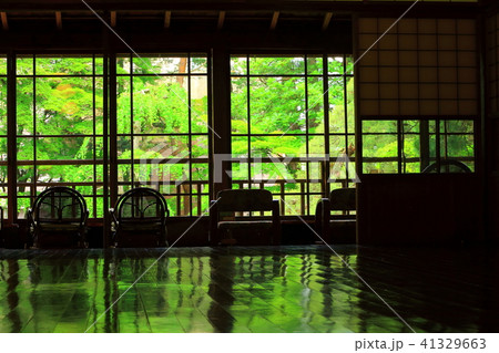 新緑の南昌荘 41329663