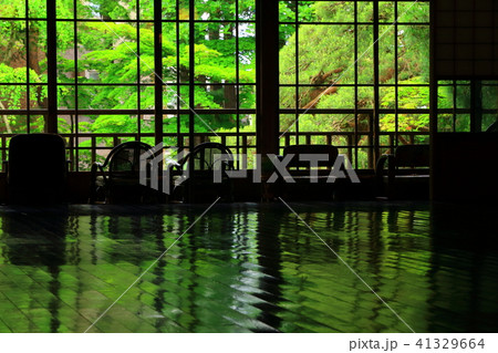 新緑の南昌荘 新緑の南昌荘 41329664