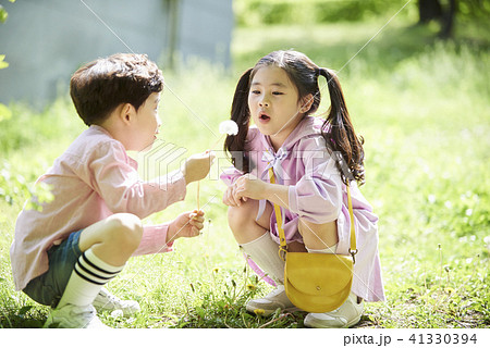 公園 タンポポ 韓国人 41330394