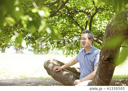 木 男 男性 41330505