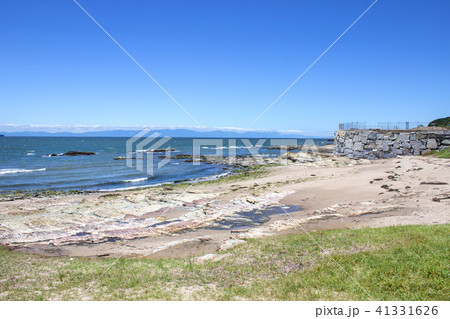 野間の海岸 41331626