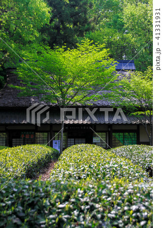 日本昭和村 41331931